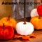 8 Pieces Velvet Pumpkins Fake Decorative Pumpkins Foam Pumpkins for Decoration Fall Theme Party Wedding Halloween Thanksgiving Table 4 Colors